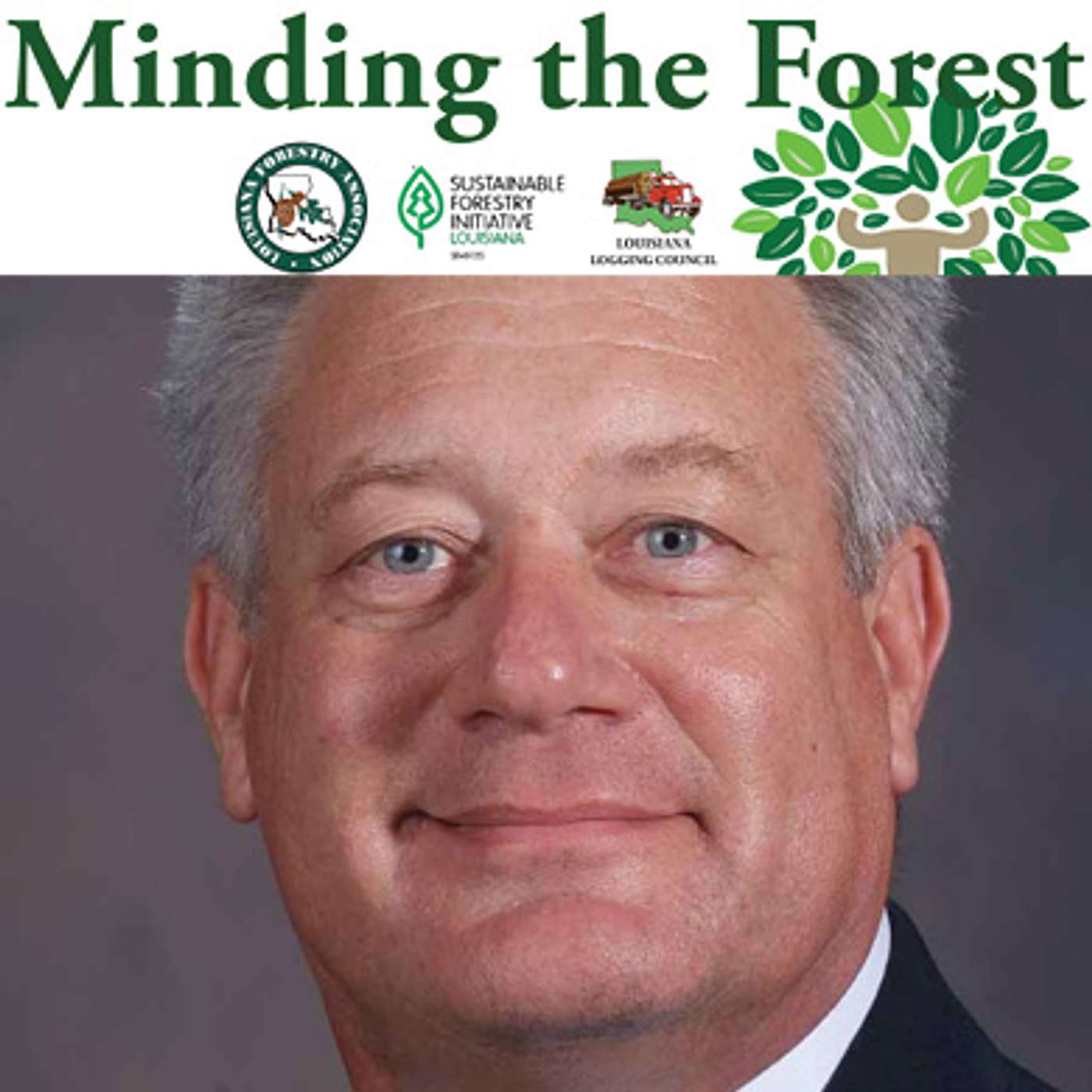 Minding the Forest