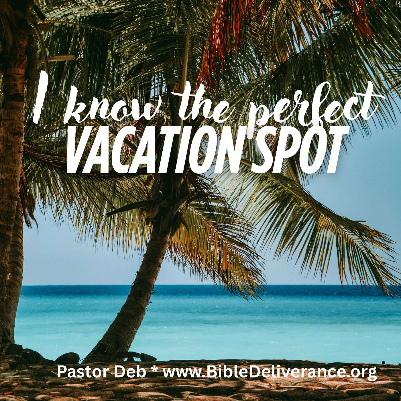 I know the perfect vacation spot episode artwork