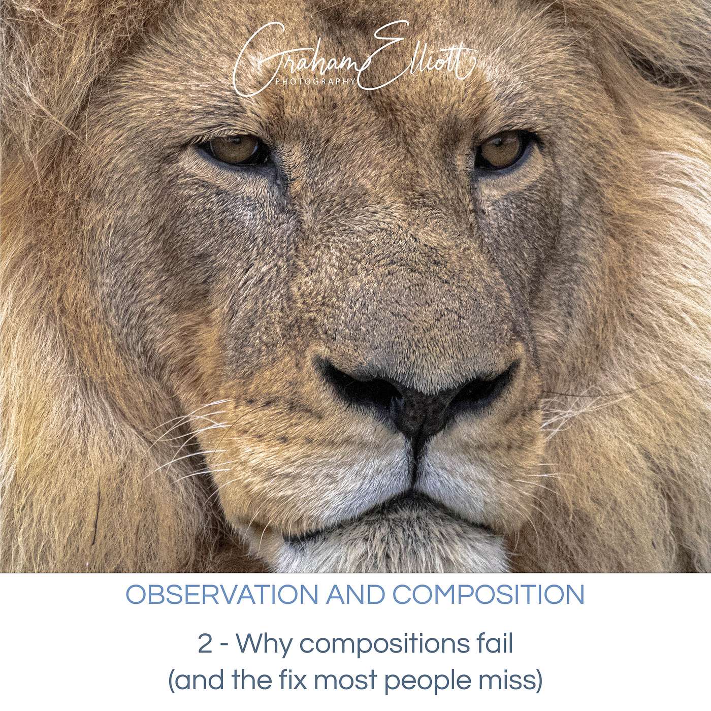 Observation and Composition Ep 2: Why Compositions Fail (and the fix most people miss)