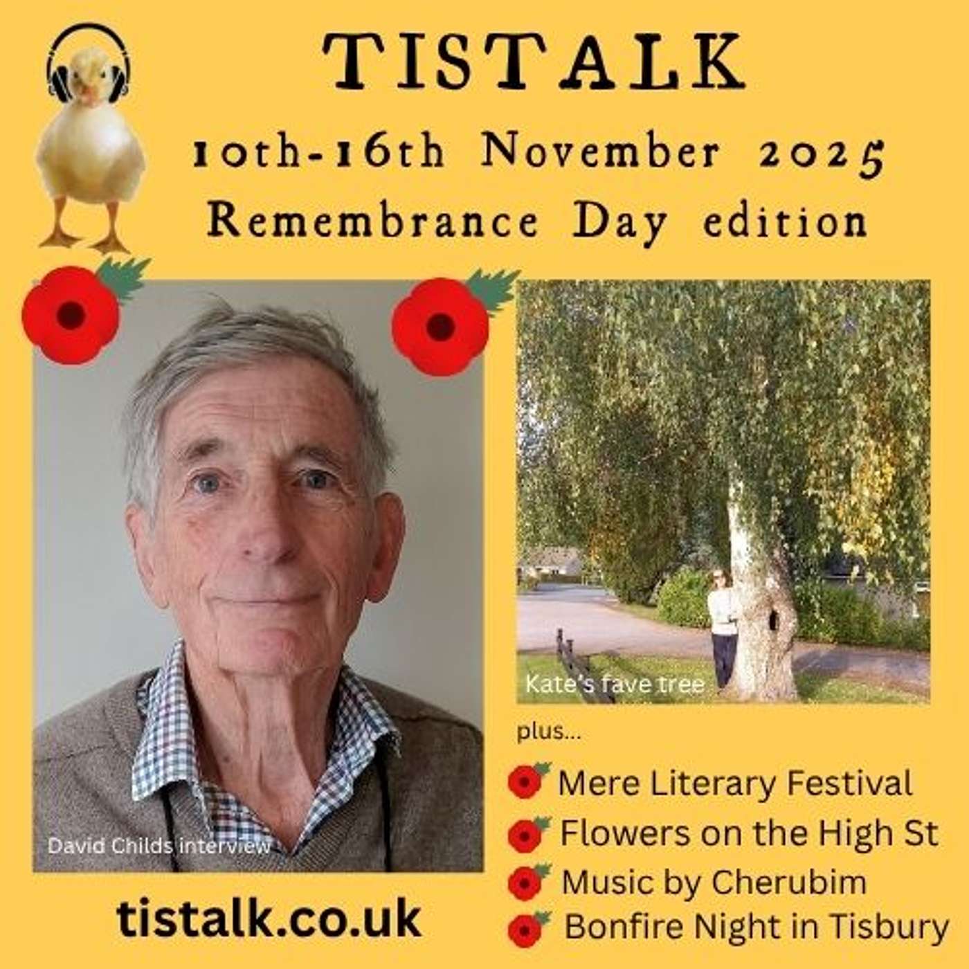 10th-16th November 2025 E7S10 : Remembrance, David Childs, Mere Lit Fest, Music, Fireworks, Spring Bulbs.. and a favourite tree
