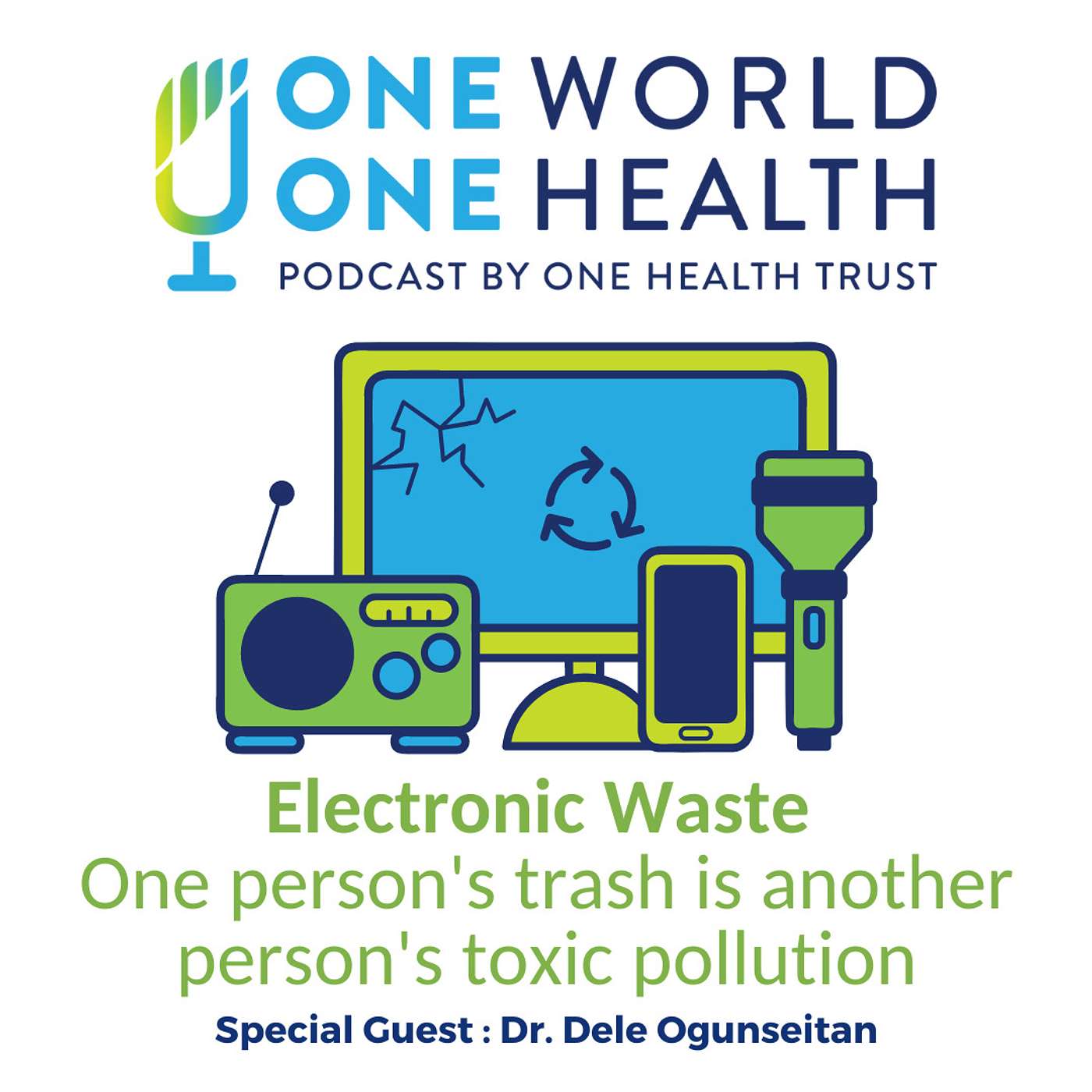 Electronic Waste – One person's trash is another person's toxic pollution
