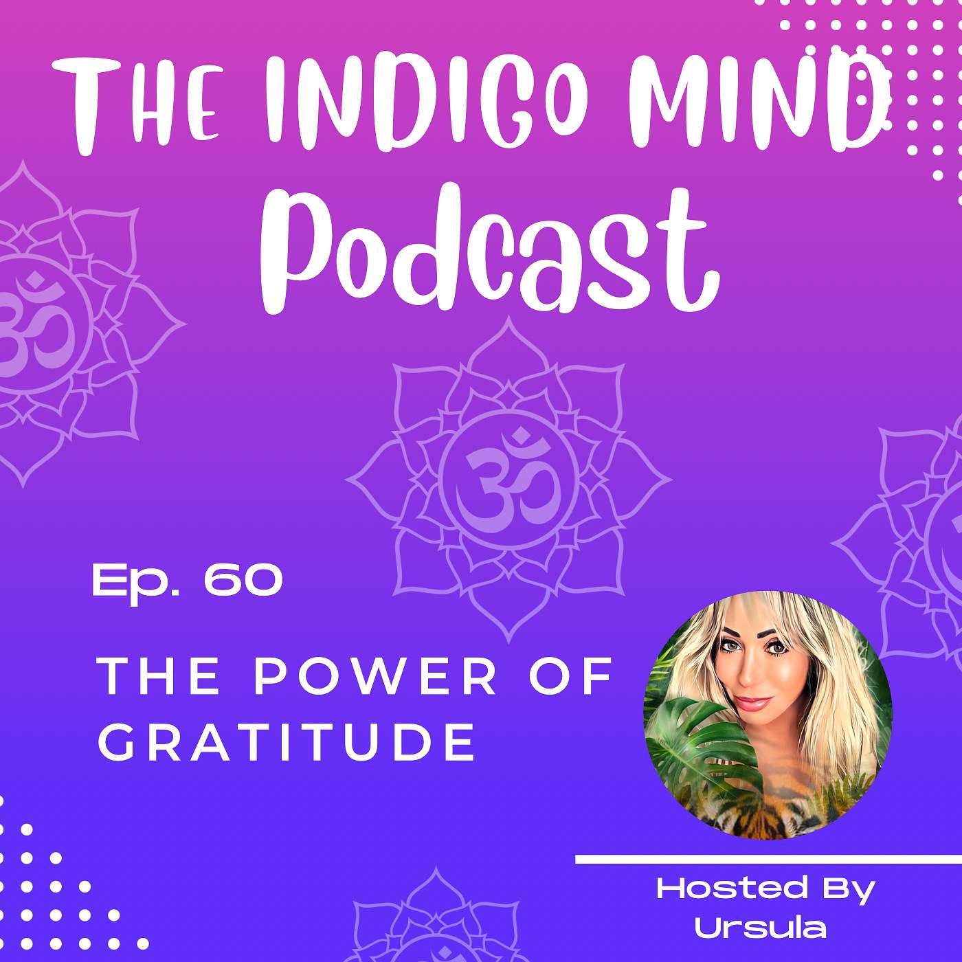 The Indigo Mind Podcast