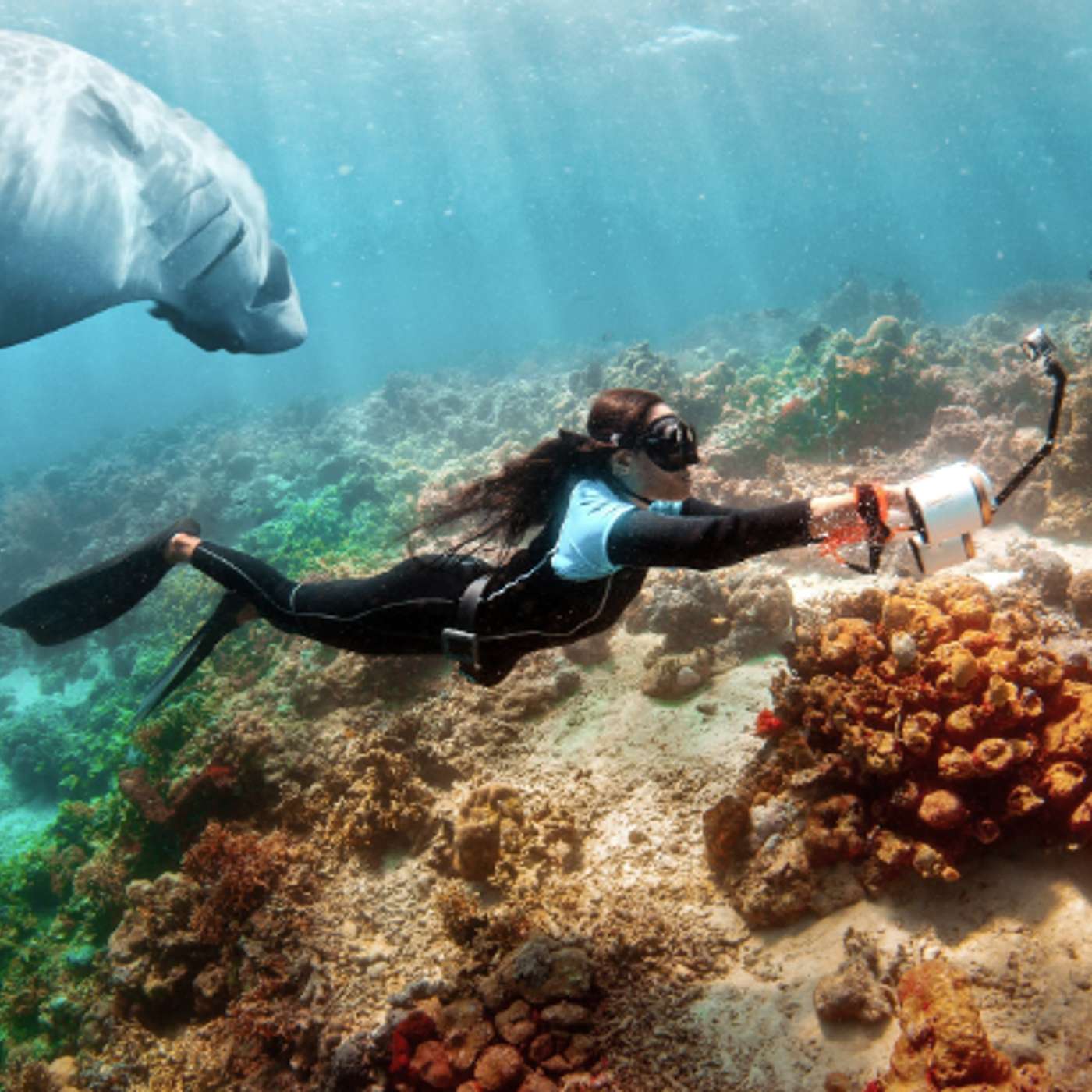 How to Reduce the Impact of Underwater Scooters on Marine Life