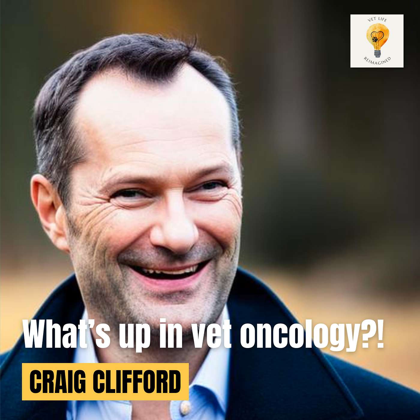 Vet Life Reimagined