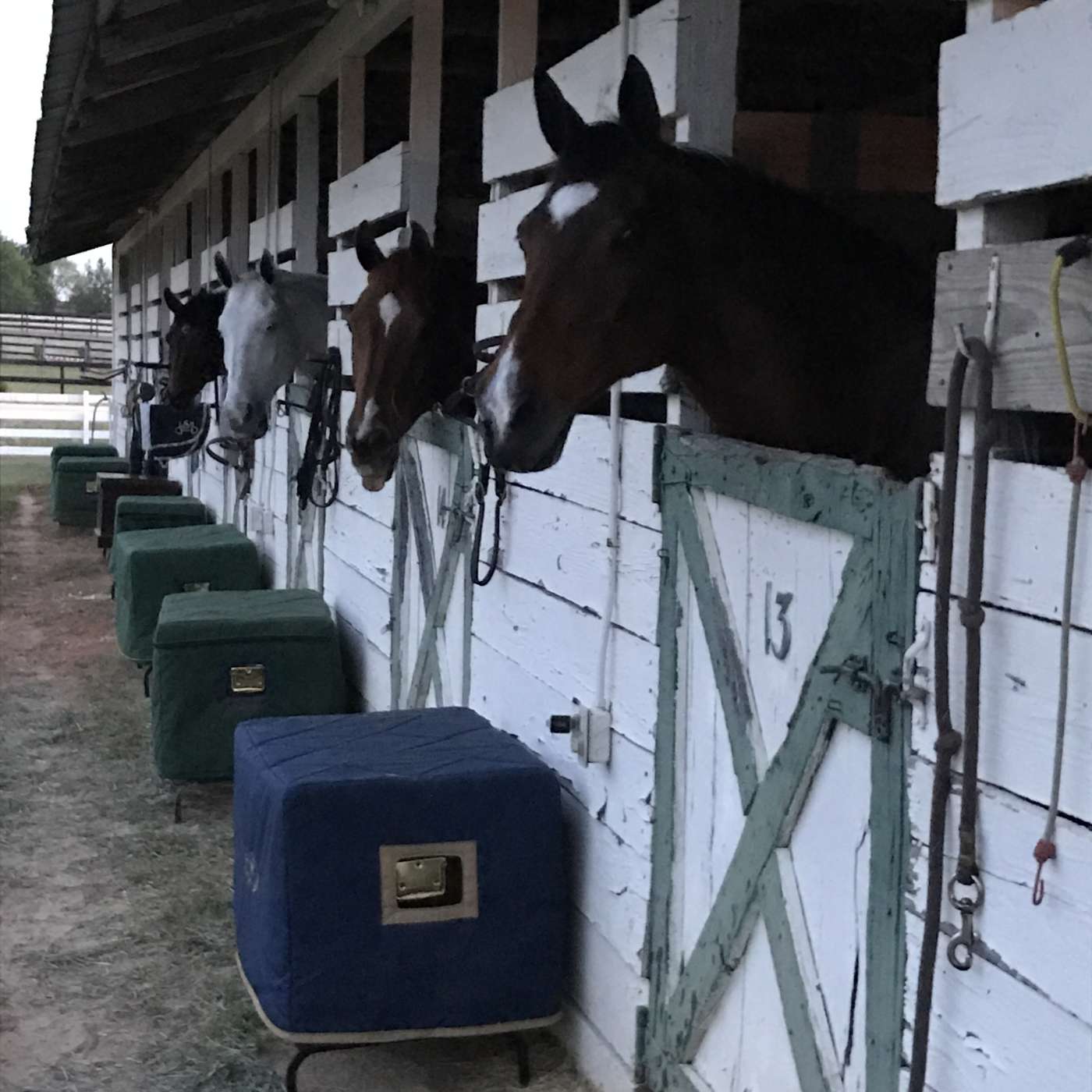 Episode 79: Where Have All the Horse Shows Gone? Right Here With Us! Presented by Founders Federal Credit Union.