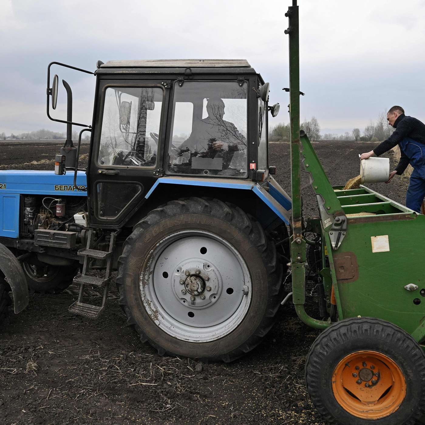 Russia's war on Ukraine taking toll on European feed, livestock Industry