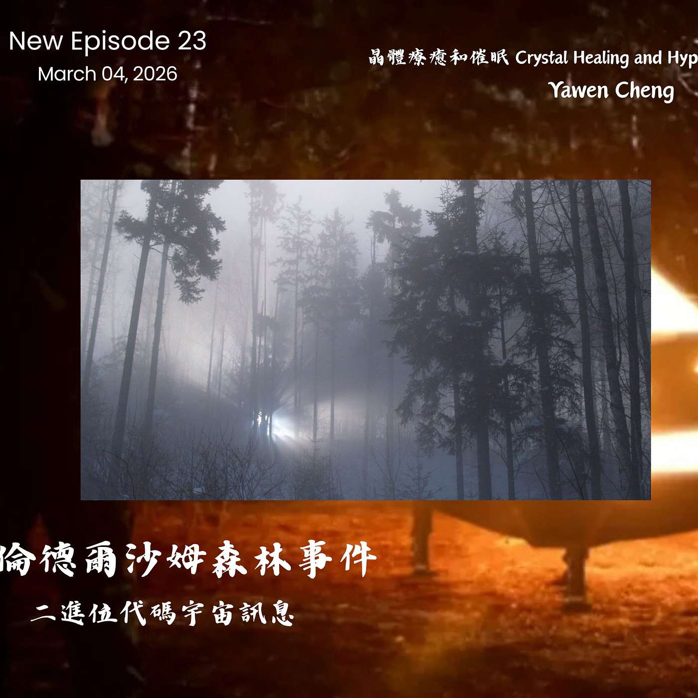 倫德爾沙姆森林事件&二進位代碼宇宙訊息