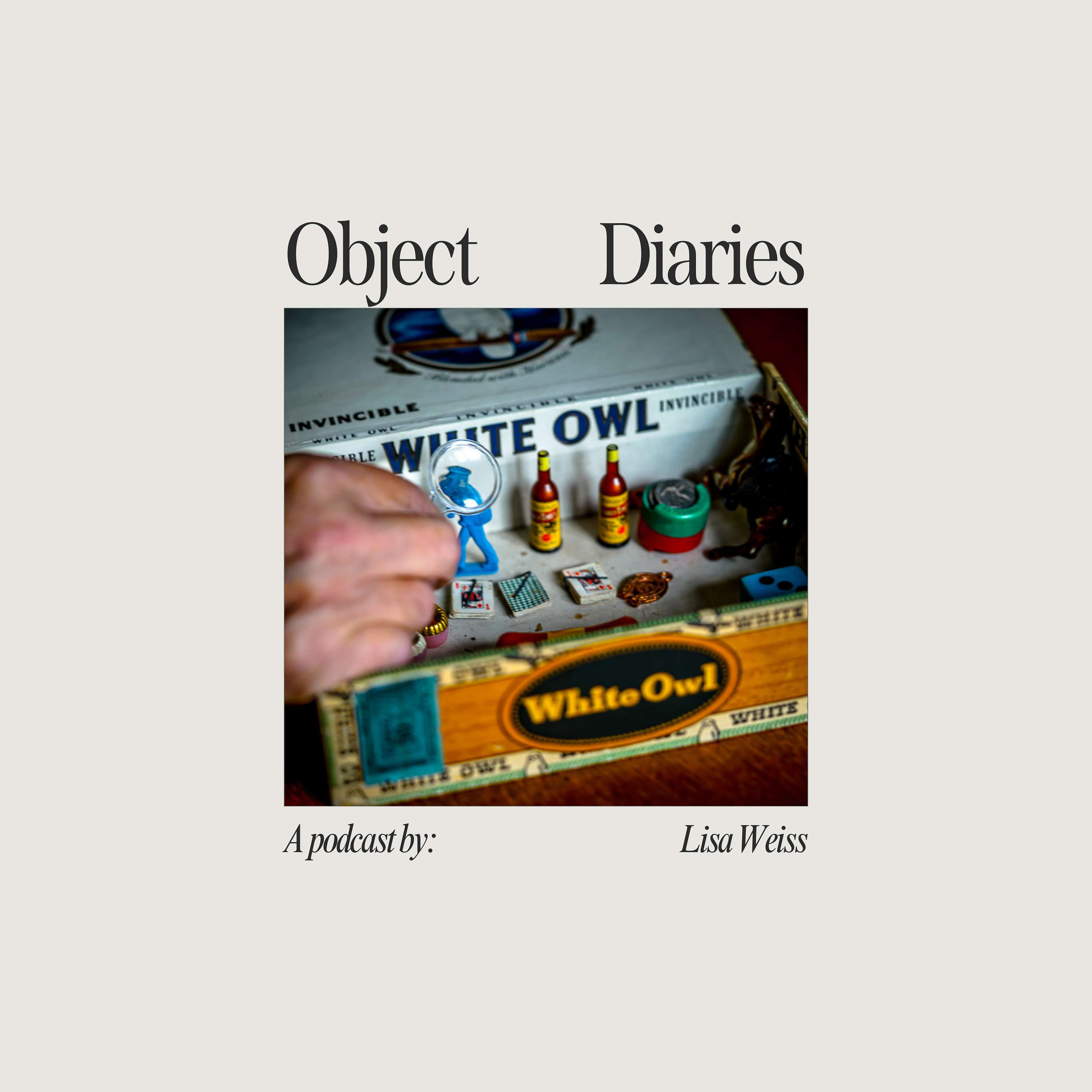 Object Diaries