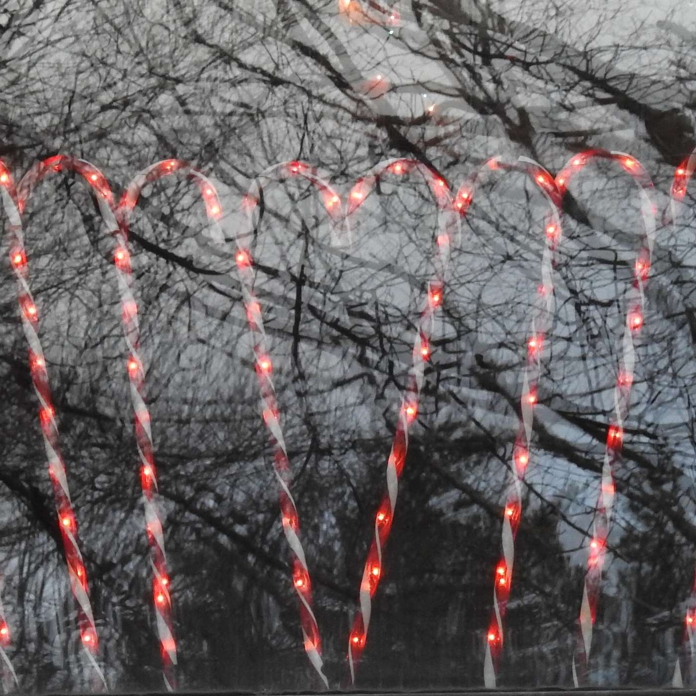 VISIONS OF CANDY CANES