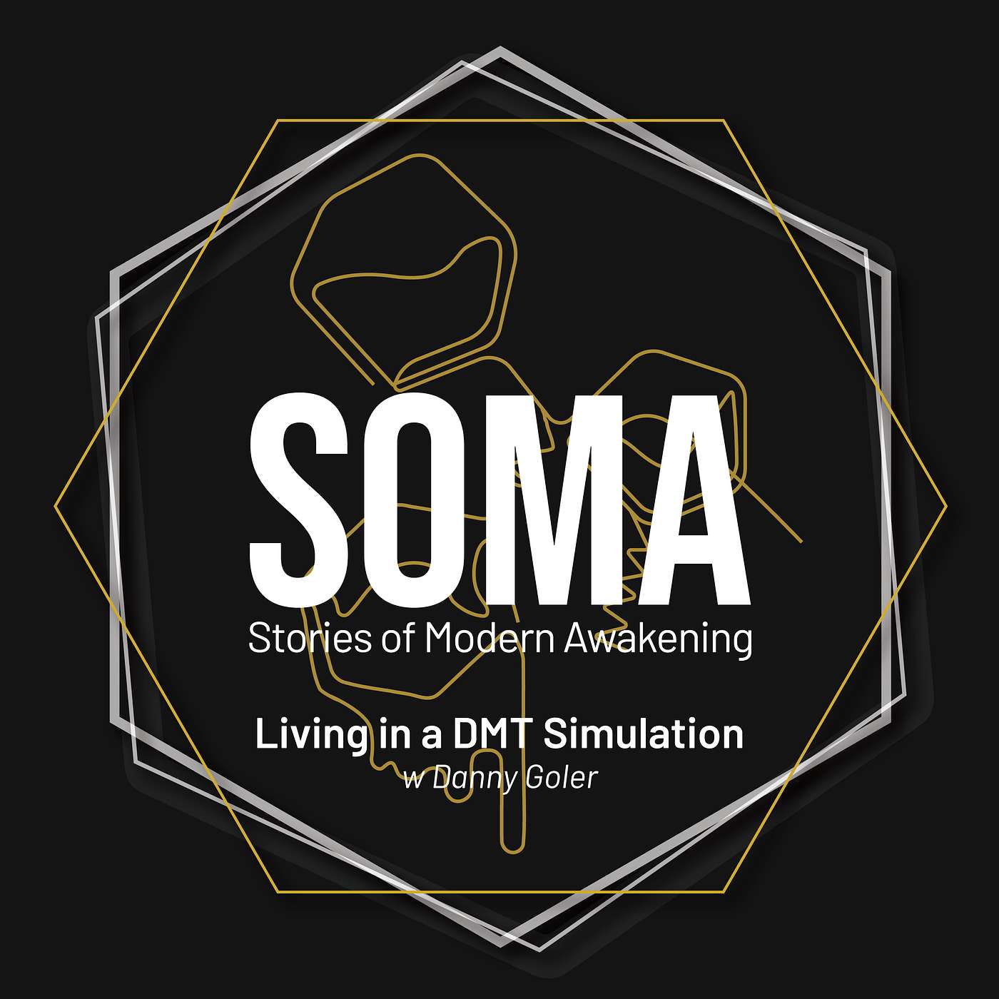 Living in a DMT Simulation: The Intersection of Psychedelics and Science w/ Danny Goler Living in a DMT Simulation: The Intersection of Psychedelics and Science w/ Danny Goler