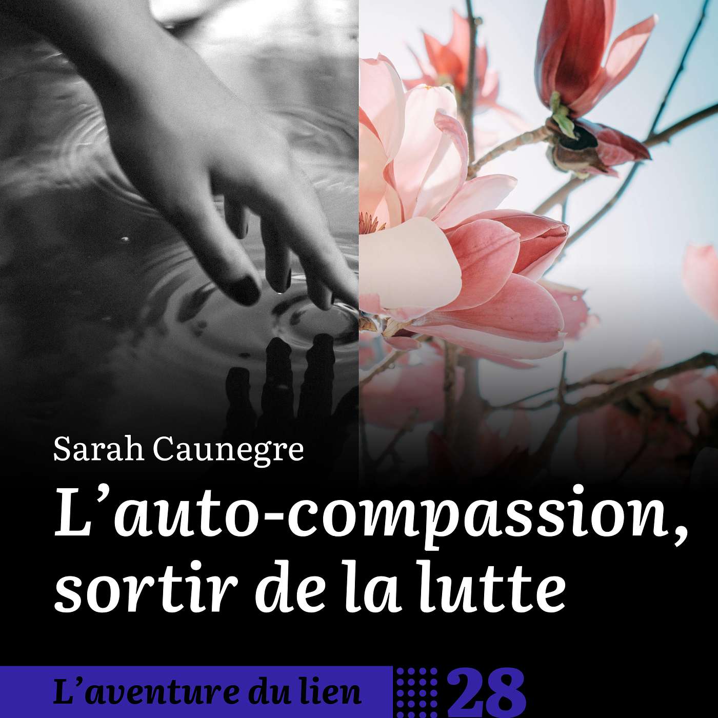 L\'aventure du lien