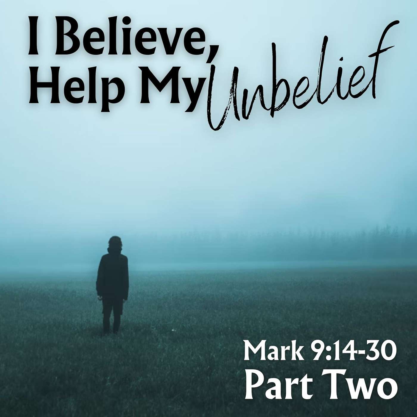 I Believe, Help My Unbelief!, Part 2; Mark 9:14-29