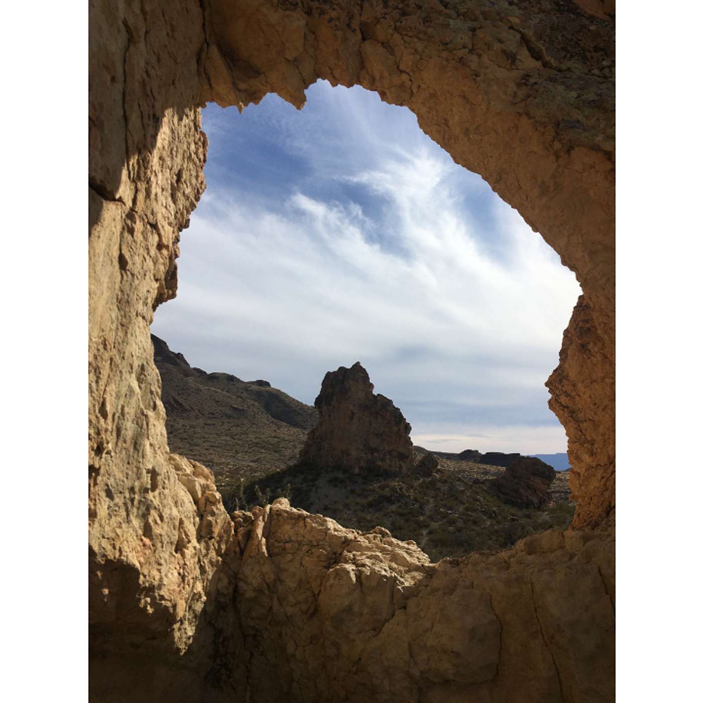Making Big Bend Wild