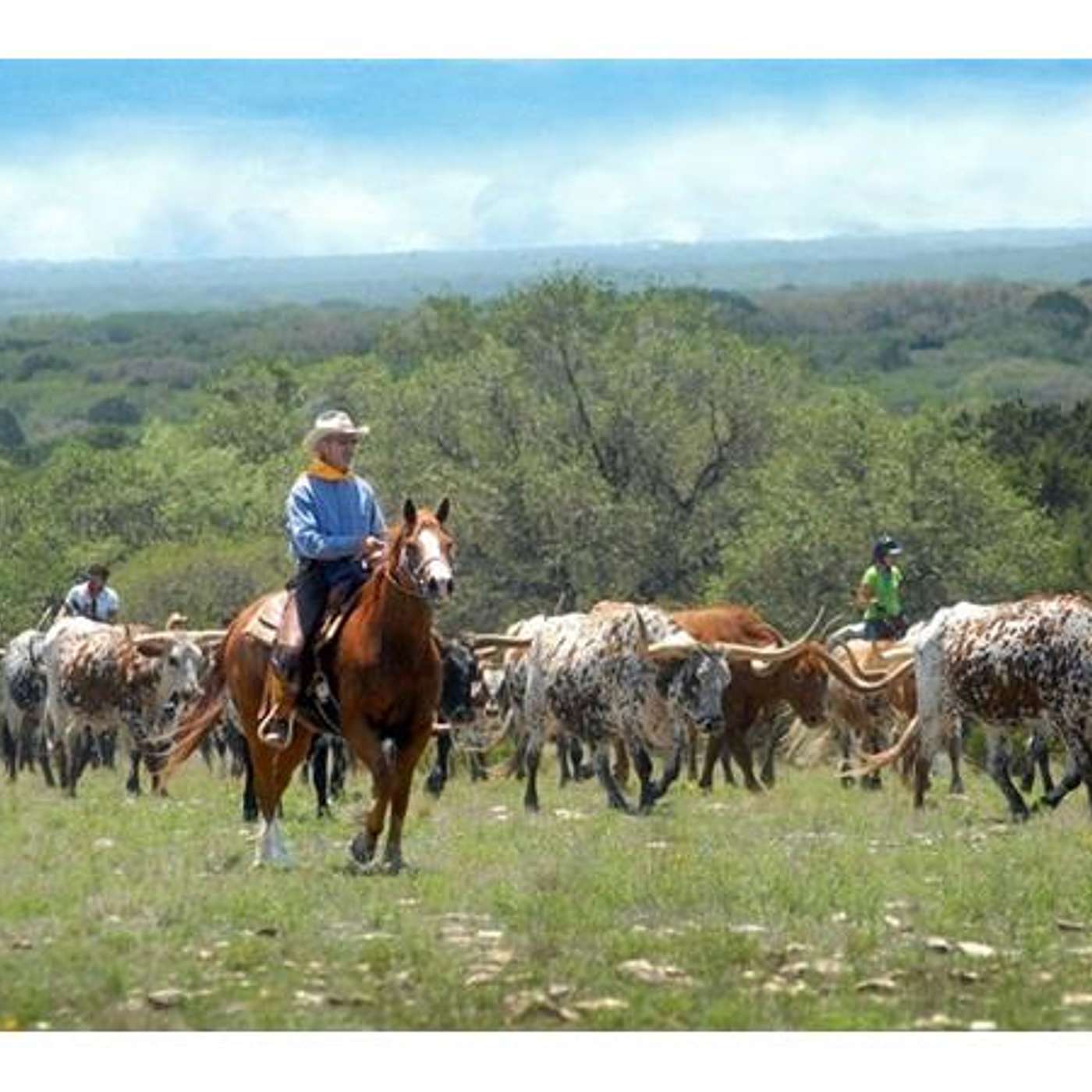 DEEP IN THE HEART OF TEXAS this week on SADDLE UP AMERICA!