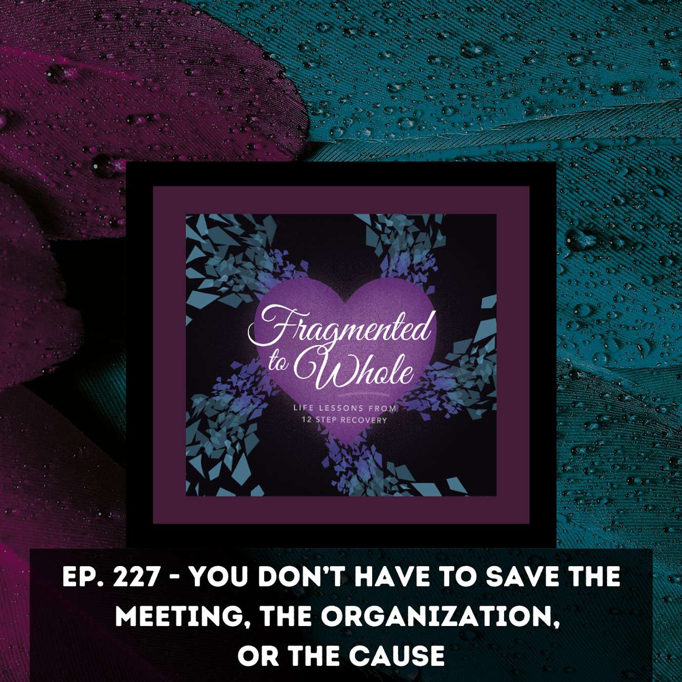 You Don't Have to Save the Meeting, the Organization or the Cause | Episode 227