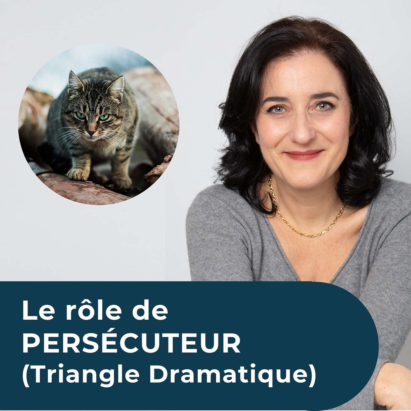 Le rôle du PERSÉCUTEUR (Jeux psychologiques - Triangle de Karpman) episode artwork