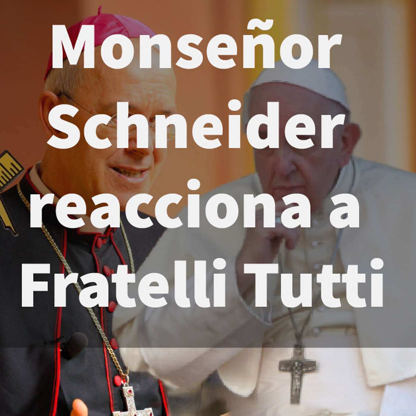 Episodio 368: 😲 Monseñor Schneider reacciona a Fratelli Tutti 👏 ¿Catolicismo y Masonería? 🤫 episode artwork