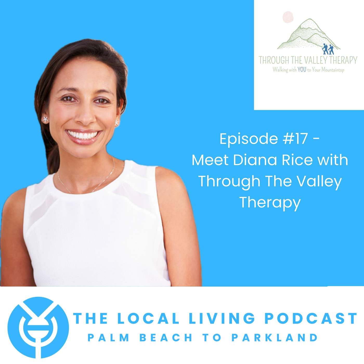 Diana Rice: Navigating Mental Health with Faith and Therapy at Through the Valley episode artwork