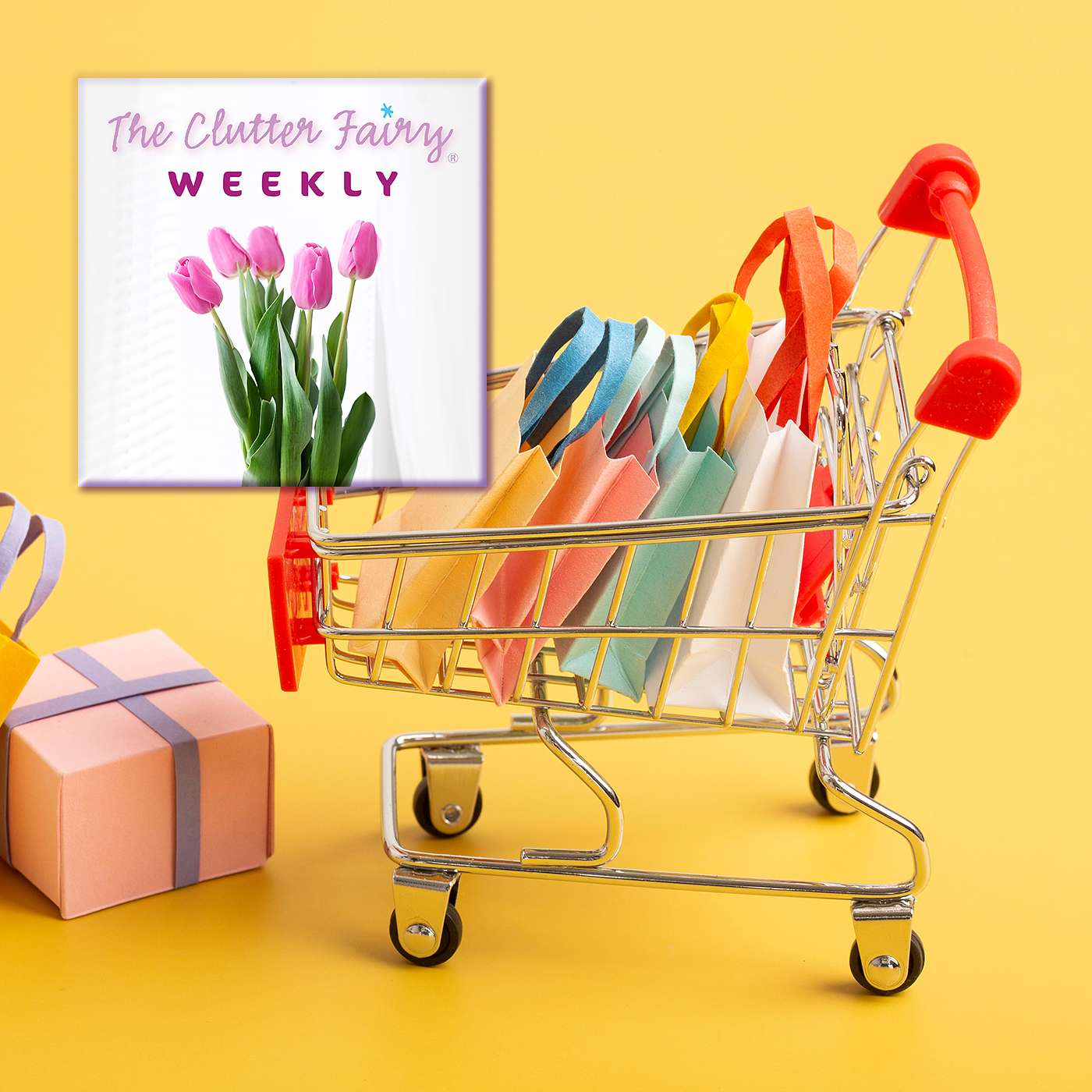 Shopping for the Home That Has Everything: Alternatives to Buying - The Clutter Fairy Weekly #311 episode artwork