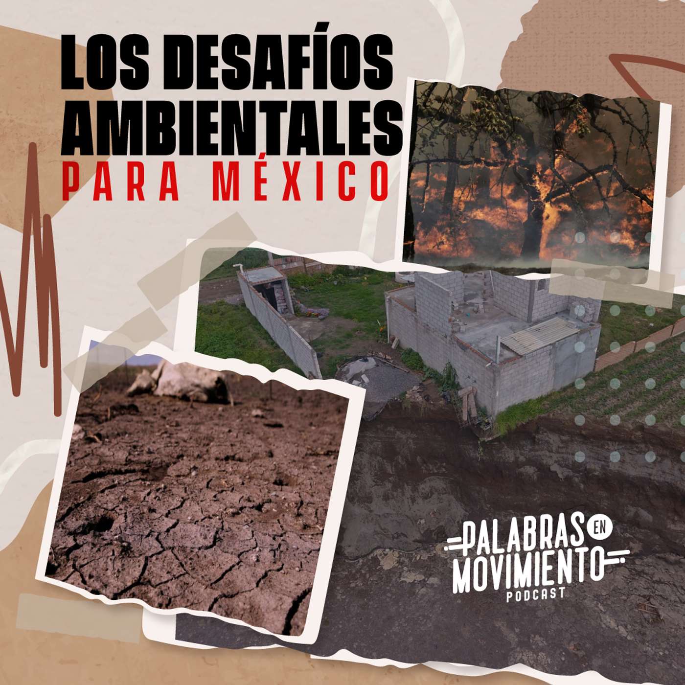 Palabras en Movimiento