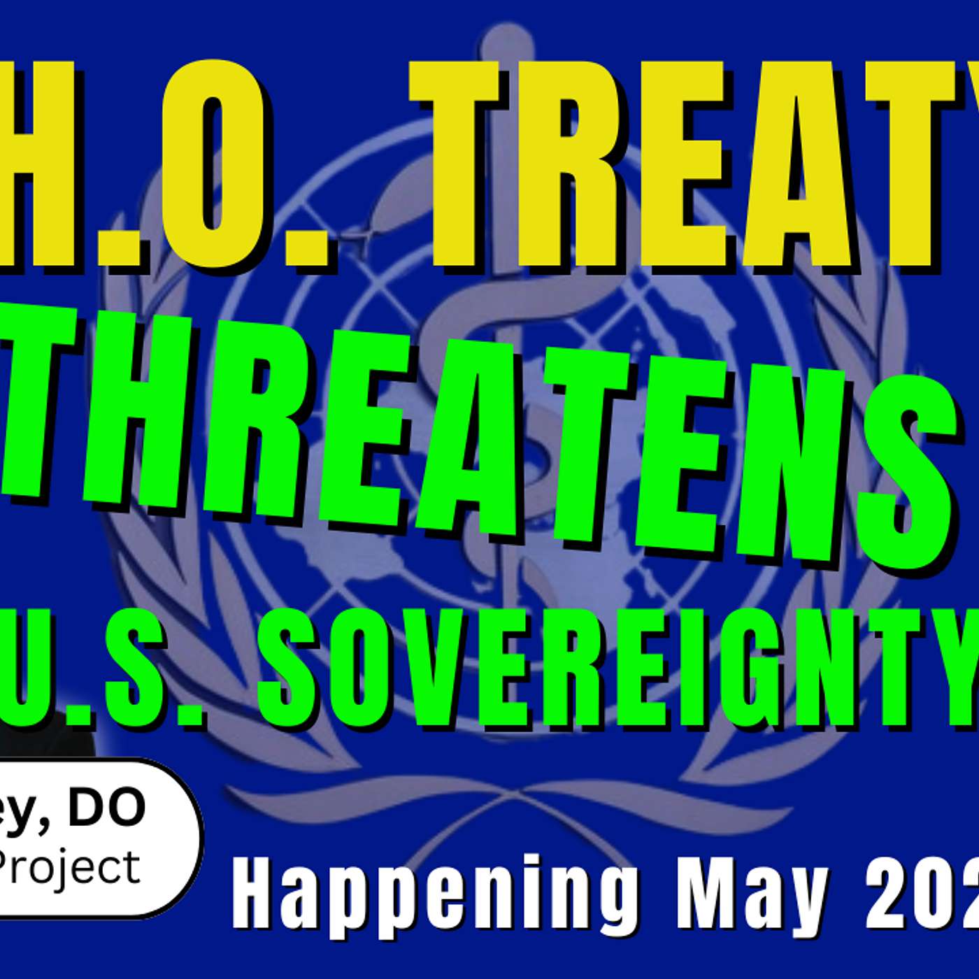 271. W.H.O. (World Health Organization) Treaty Threatens U.S. Sovereignty, Stayin' Alive & Is Your Health Freedom Ending? | Dr. Kat Lindley