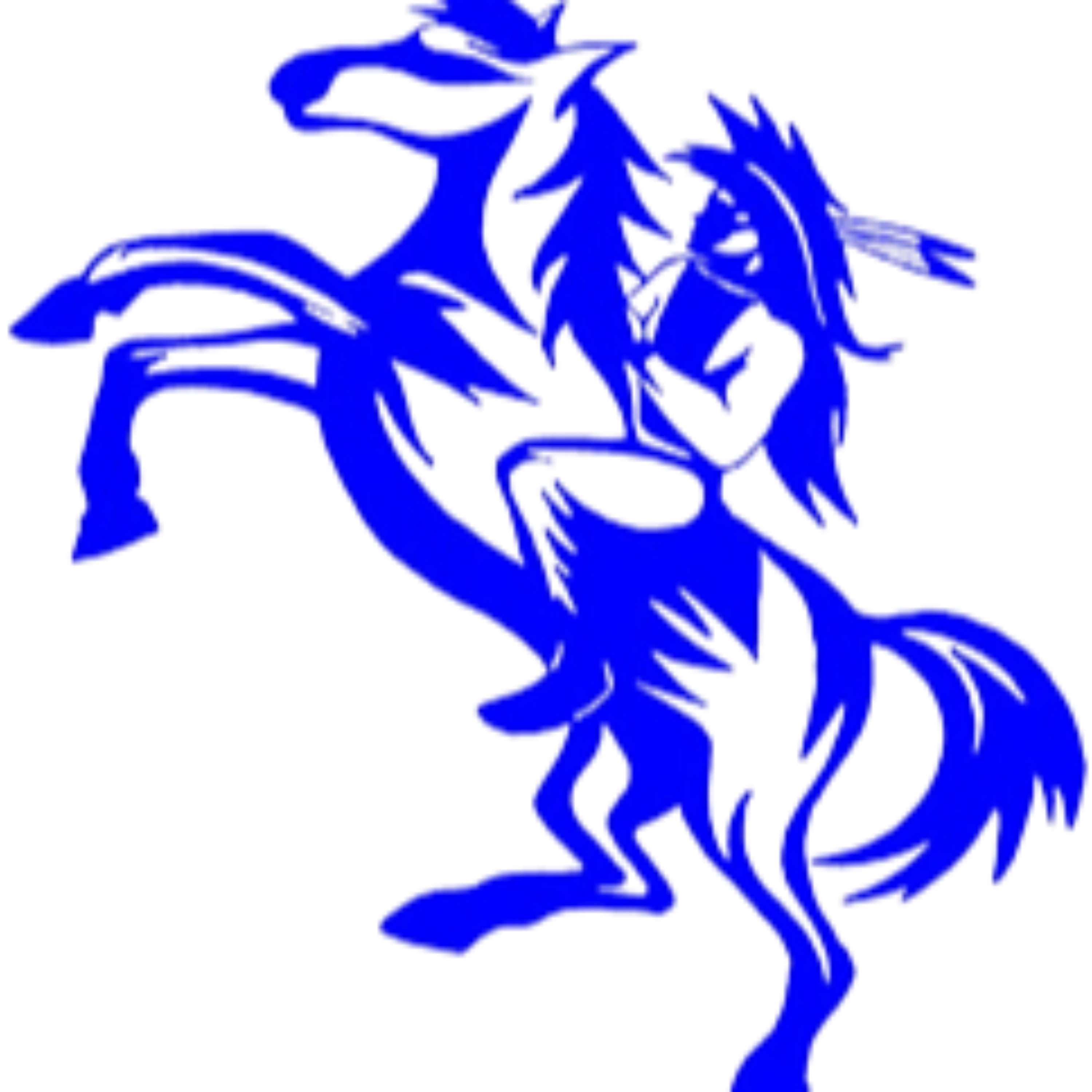 Warrior Waves