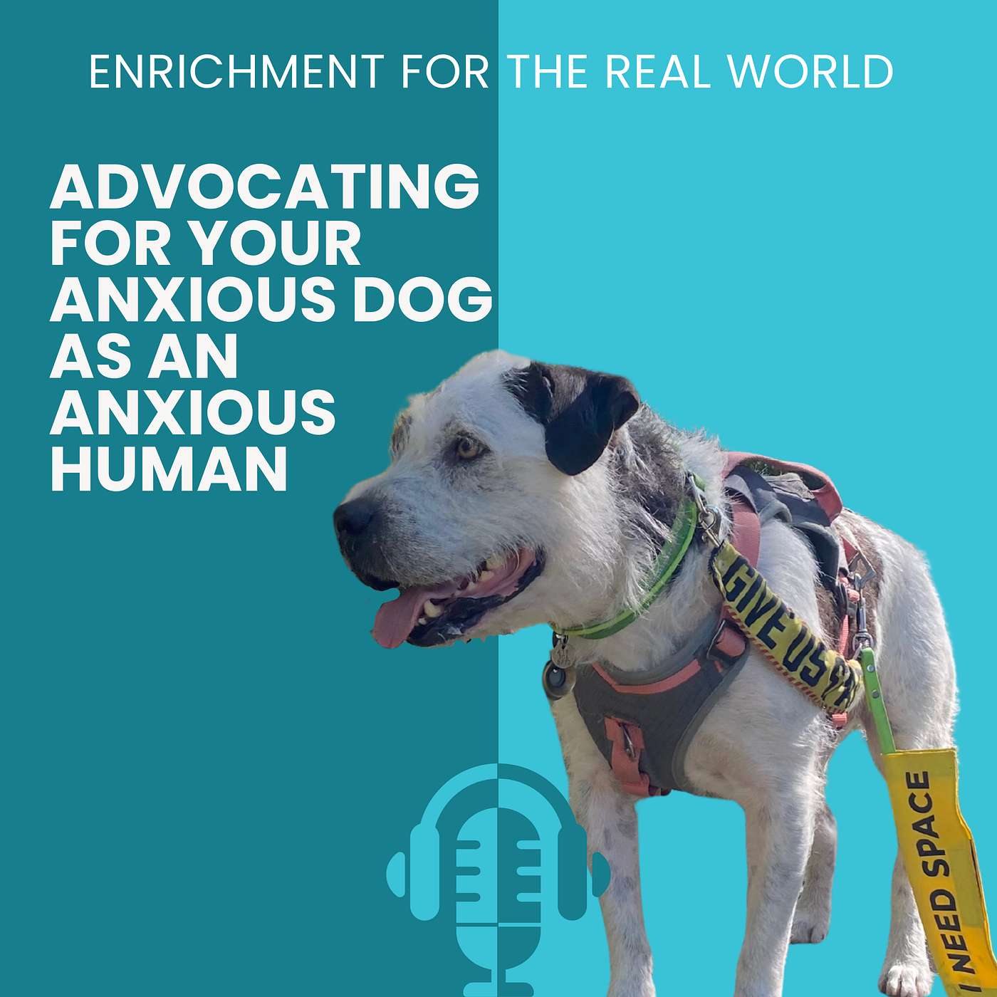 #152 - Advocating for Your Anxious Dog as an Anxious Human