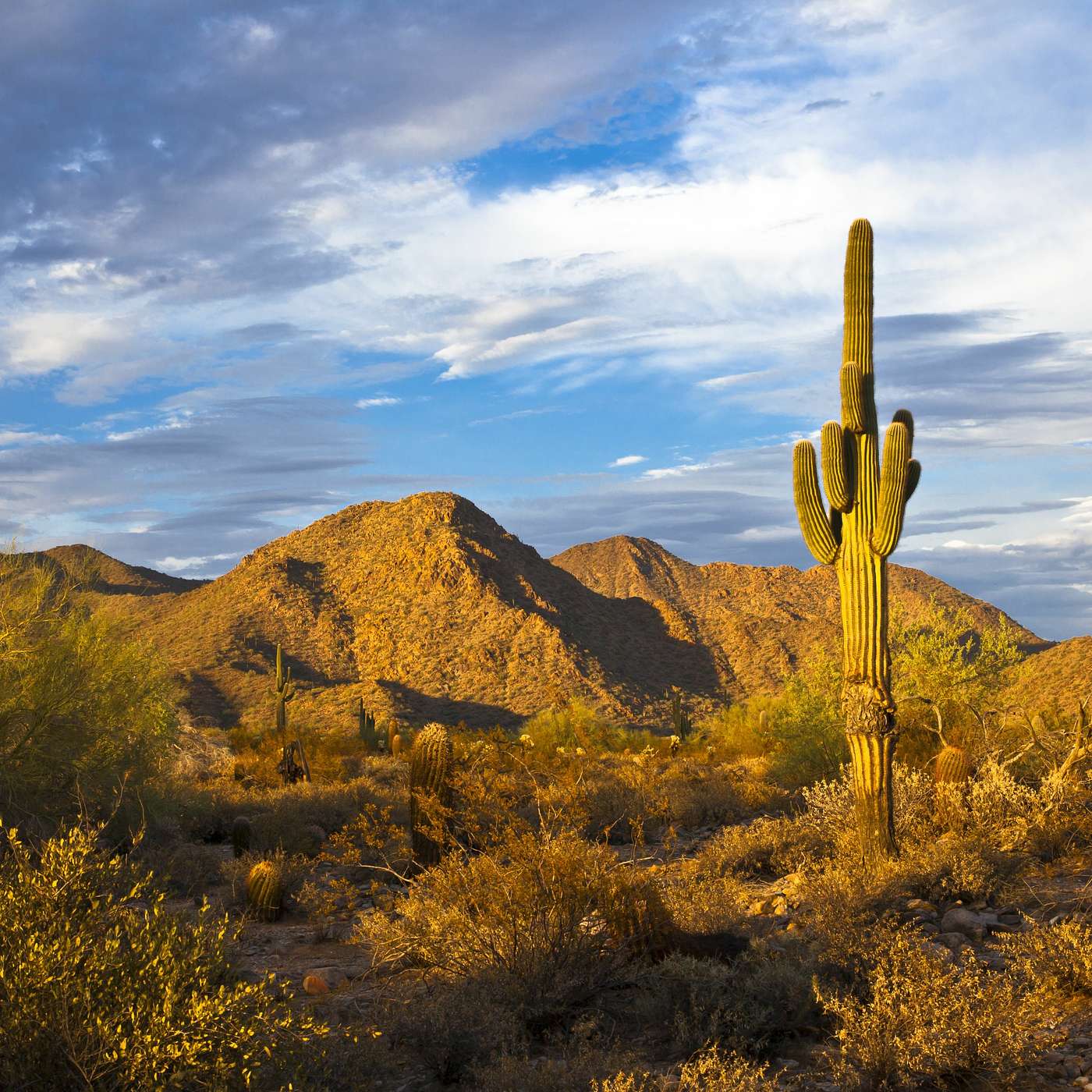 Don't California my Arizona!