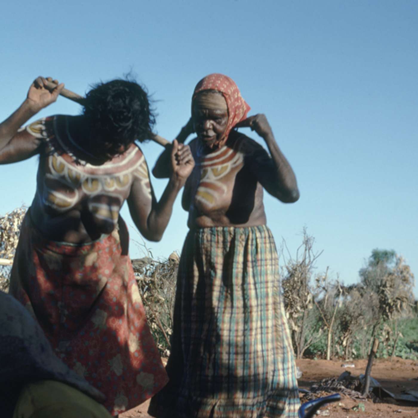 Episode 8: Yawulyu in Willowra - Learning to be who we are with Janet Nakamarra Long, Helen Napurrurla Morton and Megan Morais episode artwork