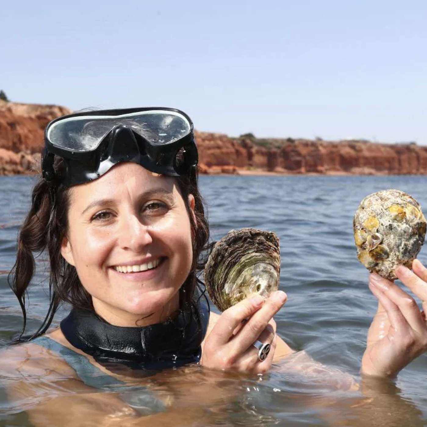 All The Gear But No Idea - The South Australian Fishing Podcast