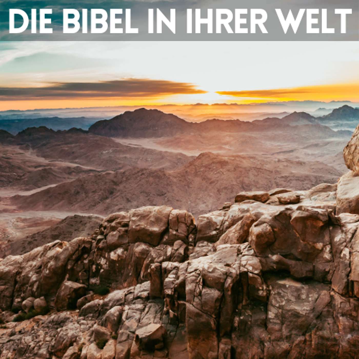 Die Bibel in ihrer Welt