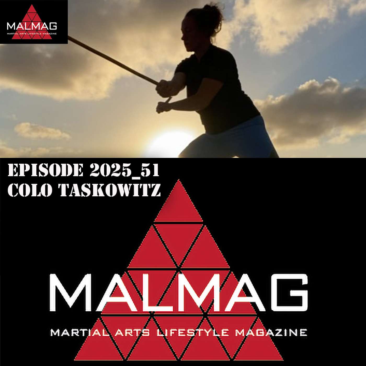 The Martial Arts Lifestyle Podcast