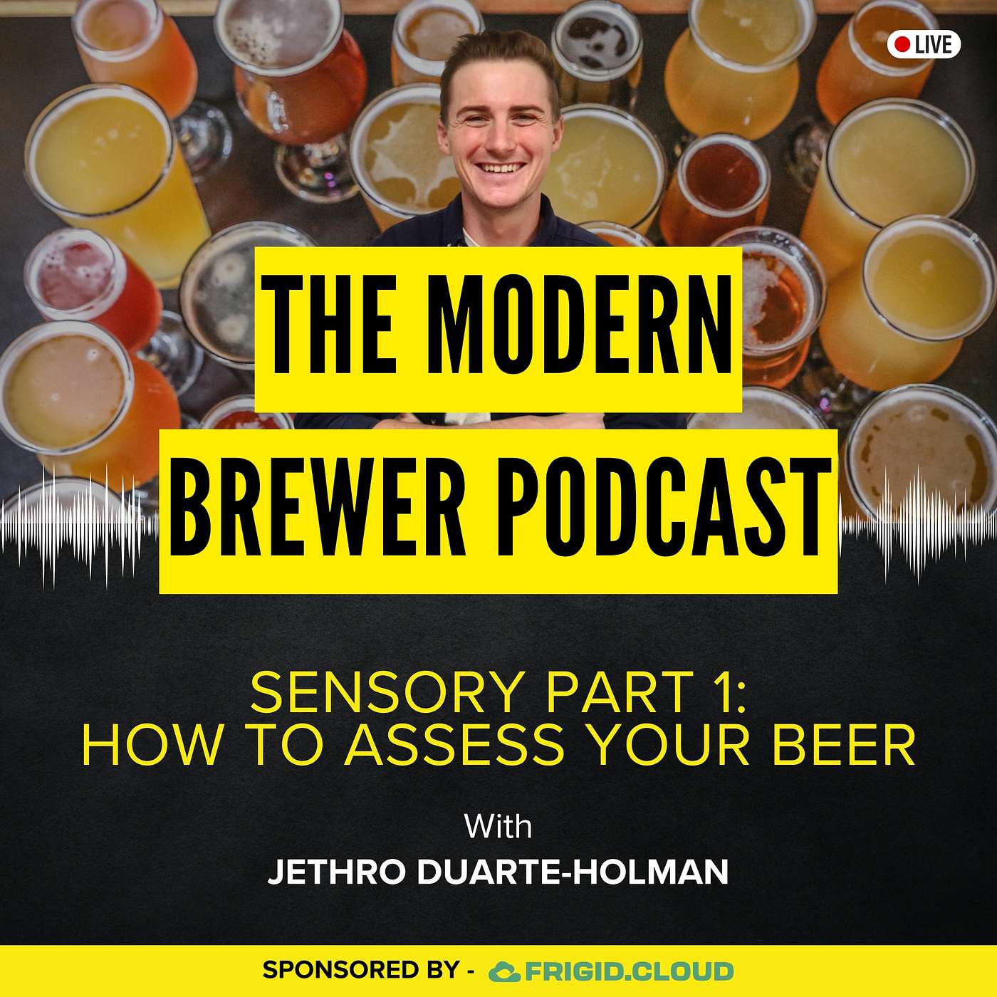 The Modern Brewer Podcast - Ep 20 - Sensory Part 1 - How To Assess Your Beer - Jethro Duarte-Holman