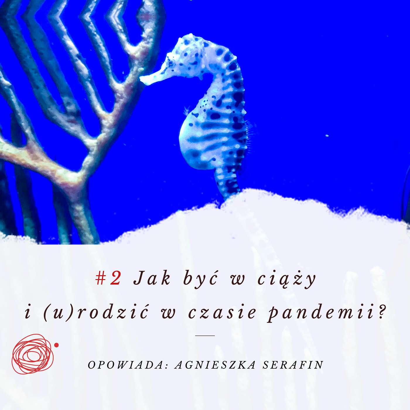 Okiem Processworkera