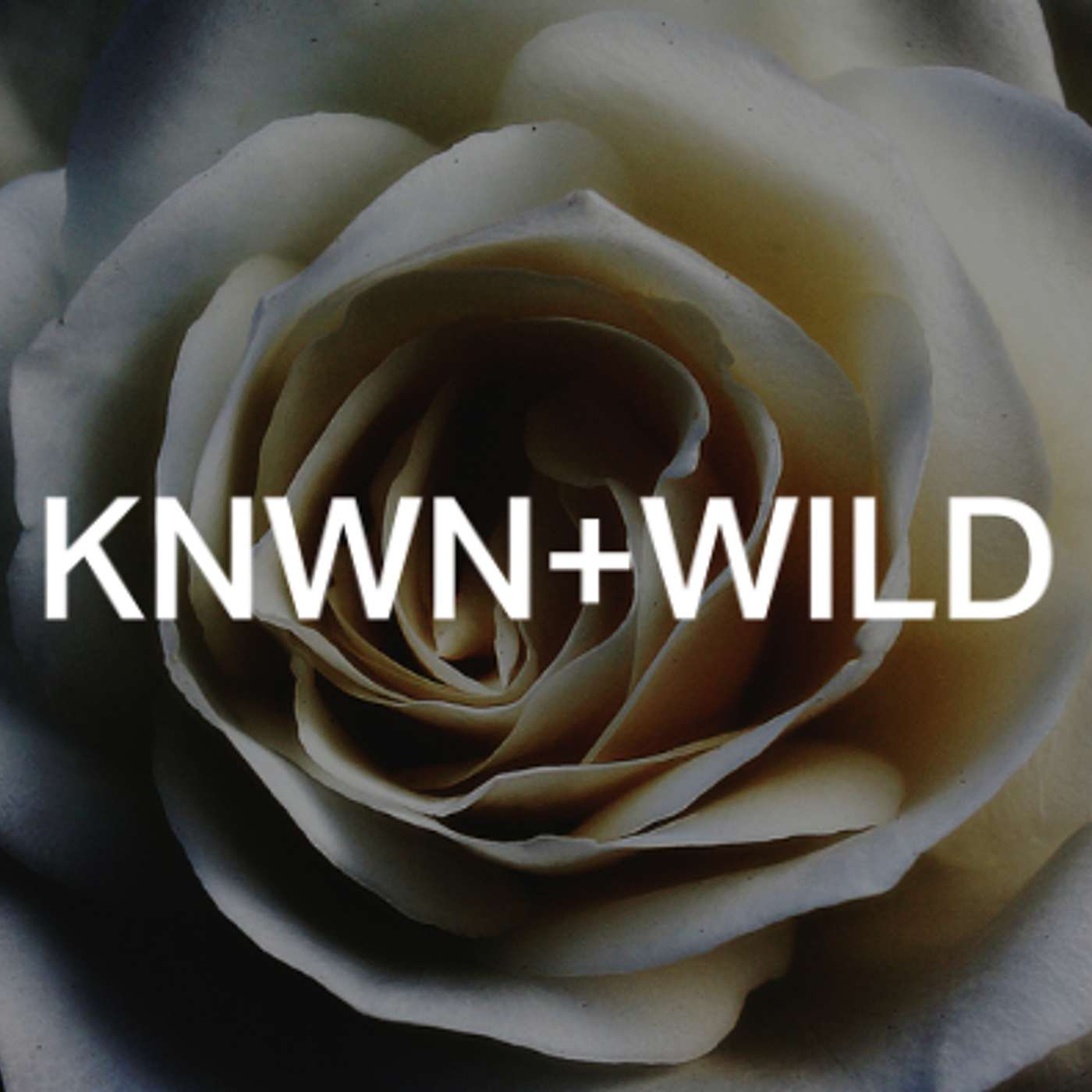 KNOWN AND WILD
