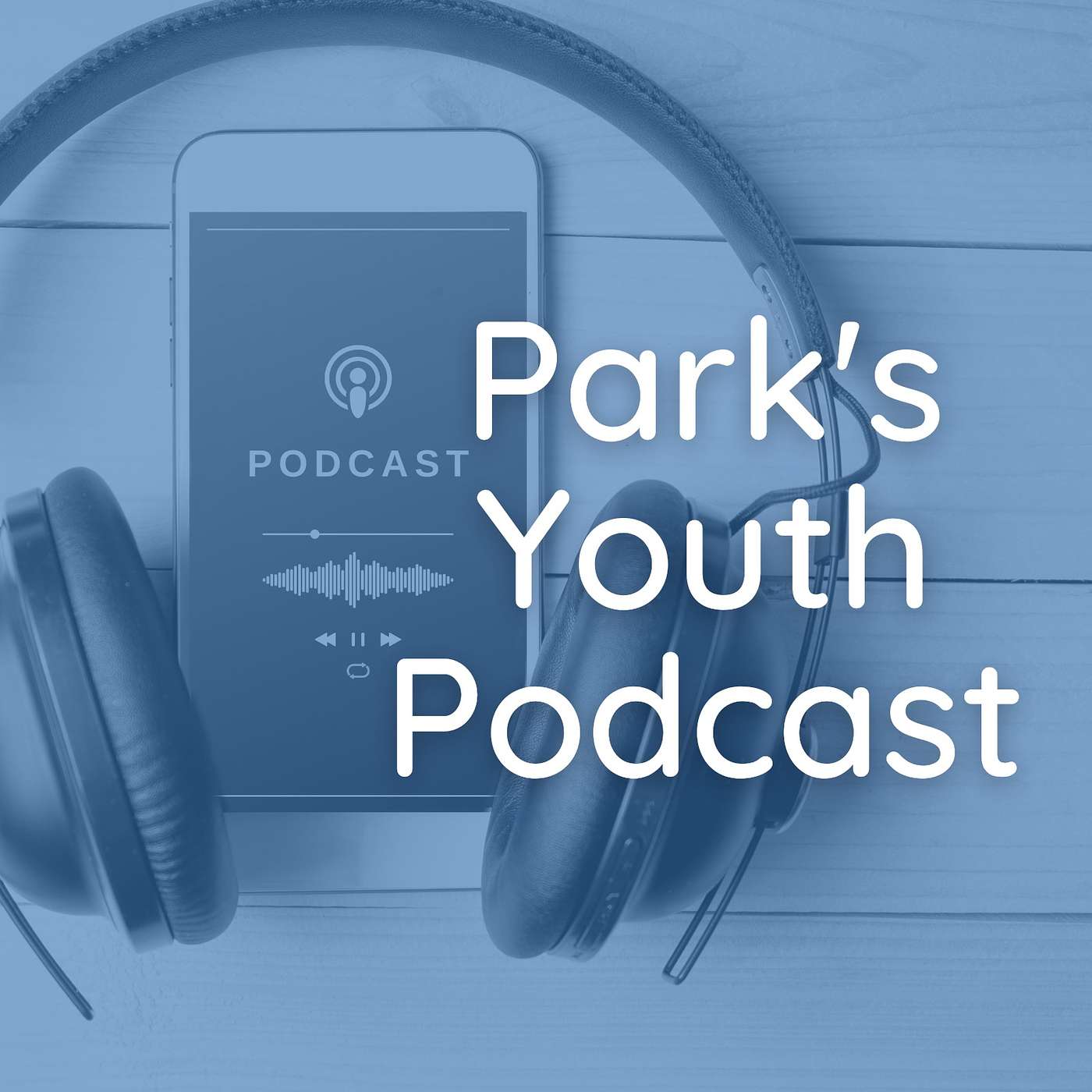 Park's Youth Podcast