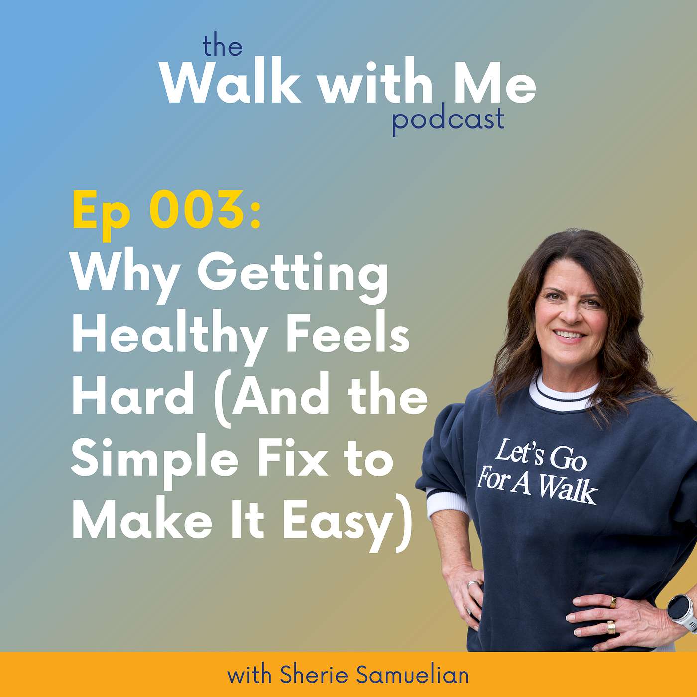003: Why Getting Healthy Feels Hard (And the Simple Fix to Make It Easy) episode artwork