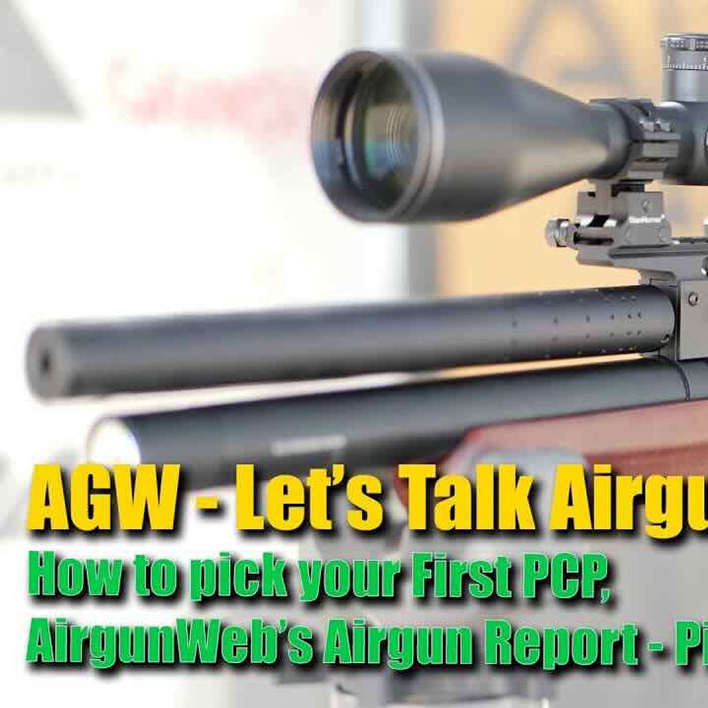 Let's Talk Airguns - Picking your First PCP & AirgunWeb's Airgun Report
