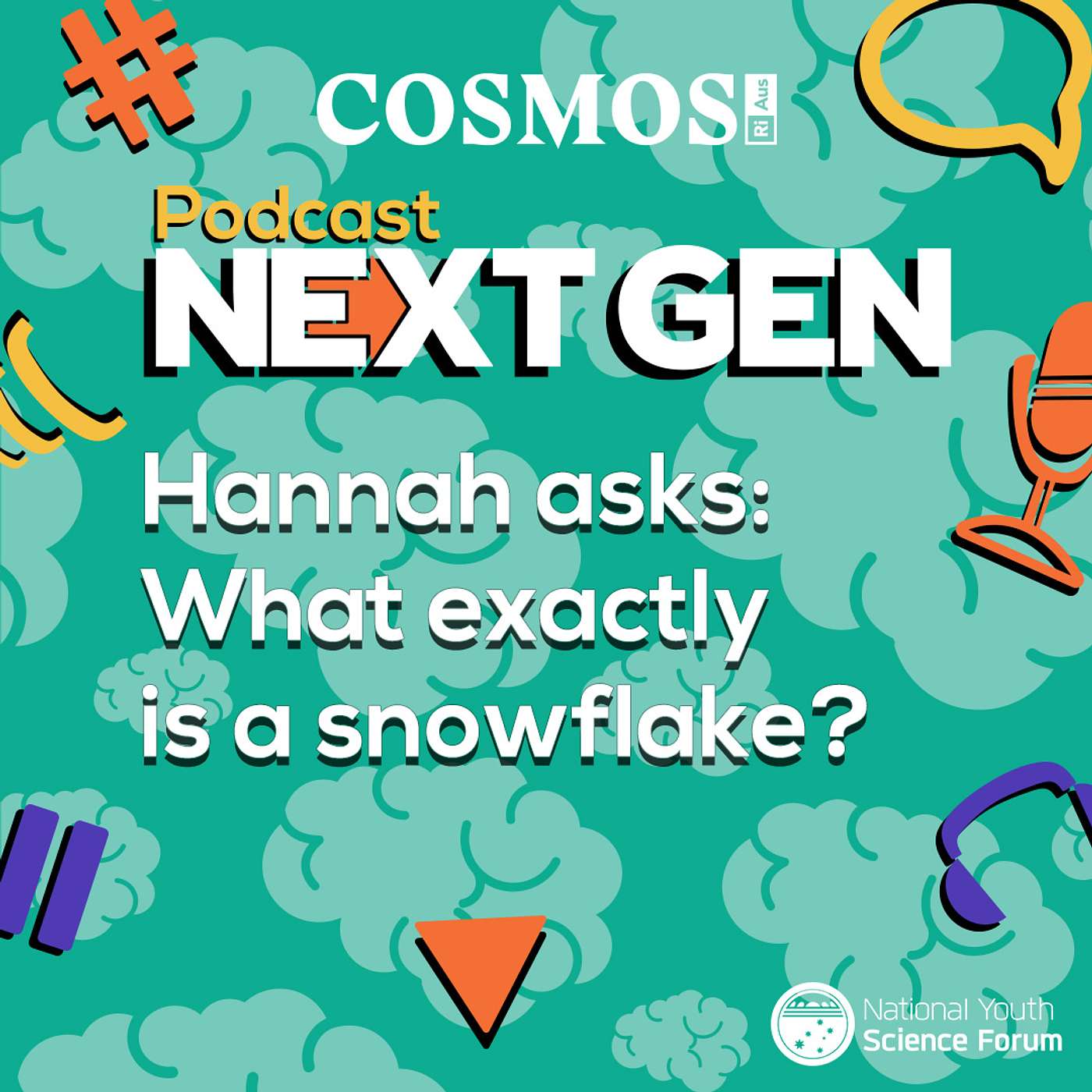 Podcast Next Gen: What exactly is a snowflake?