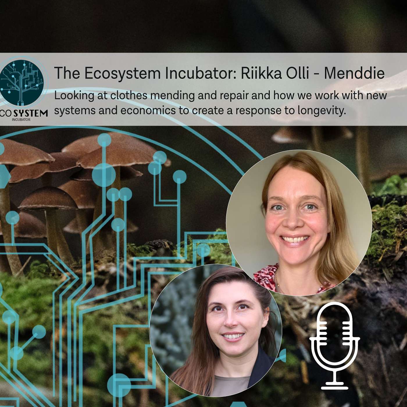 The Ecosystem Incubator - Collaborator series - Riikka Olli from Menndie.. care and repair and new systems
