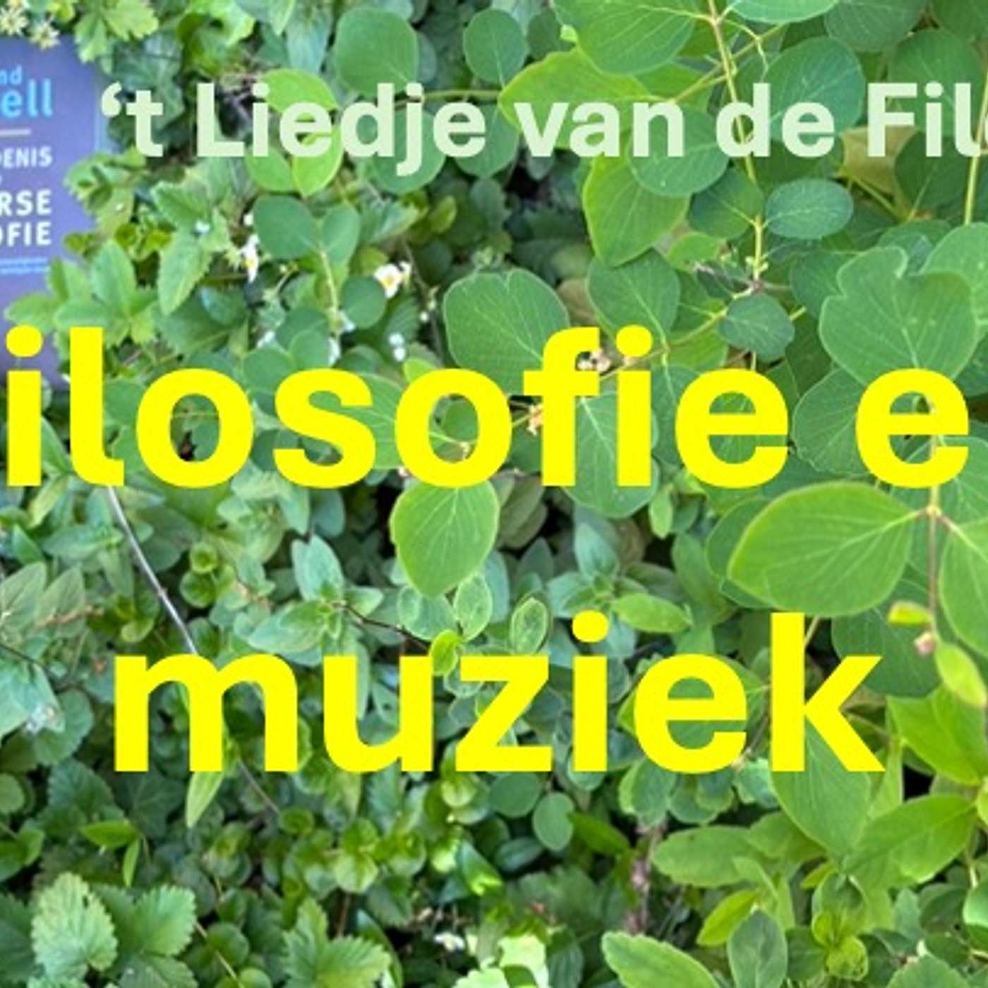 't Liedje van de filosoof, trailer episode artwork