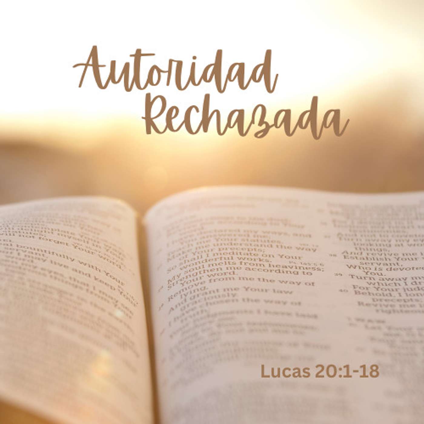 Autoridad Rechazada