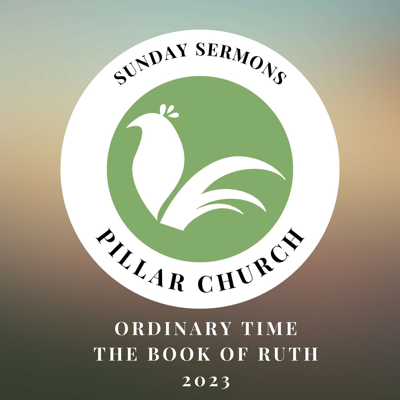 Pillar Church | Holland, MI | Sermon Podcast