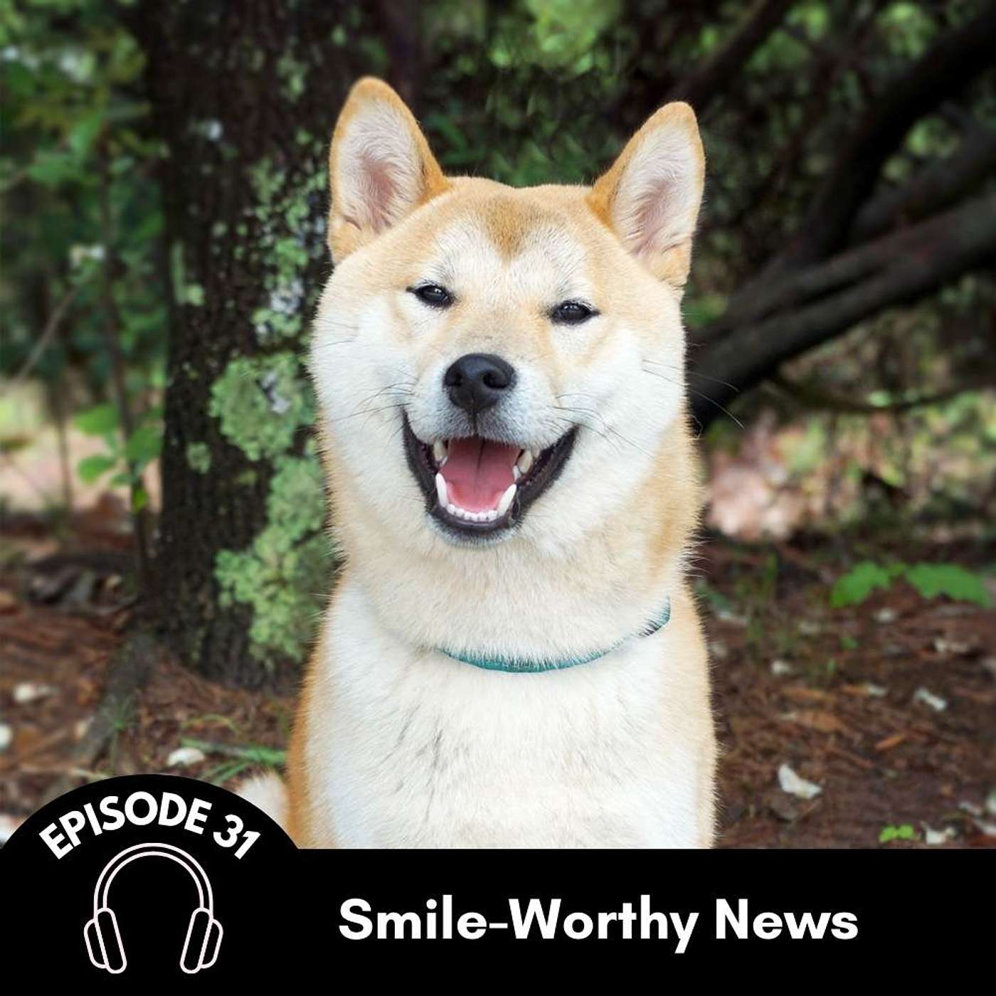 Episode 31: Smile-Worthy News