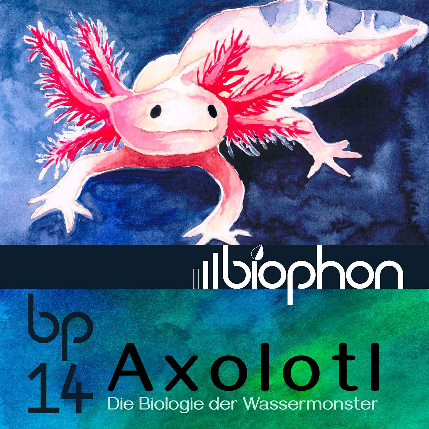 biophon - Geschichten aus Biowissenschaft und Forschung