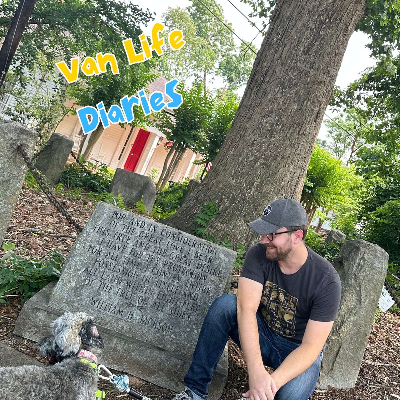 Van Life Diaries - The Tree That Owns Itself