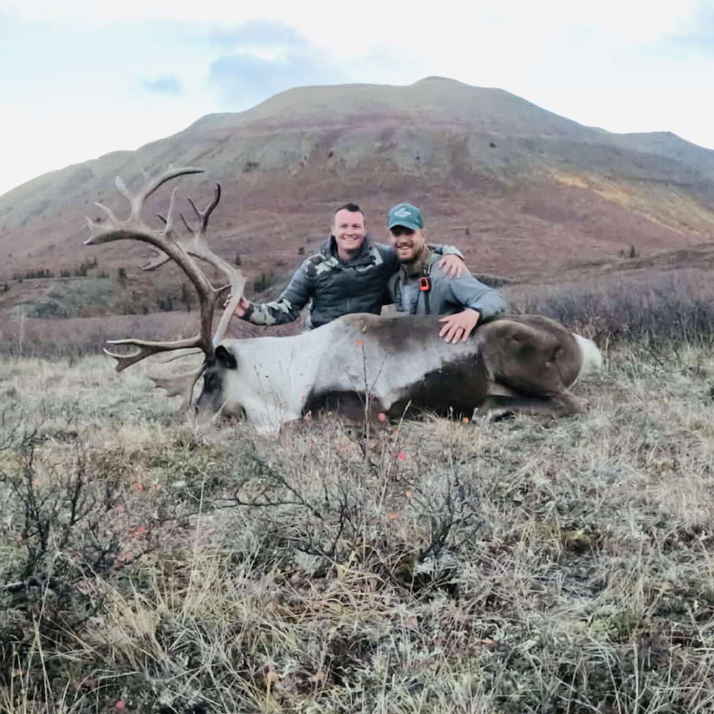 A Caribou Quest Years In The Making