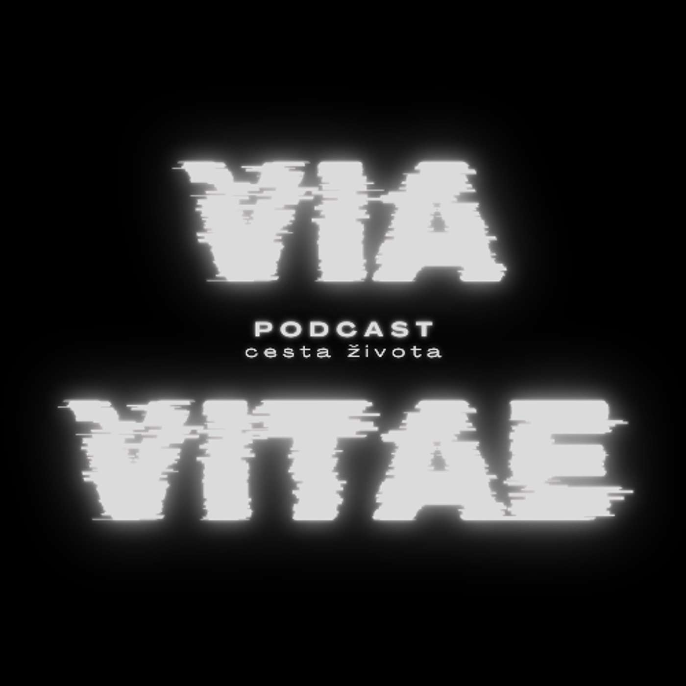 Via Vitae