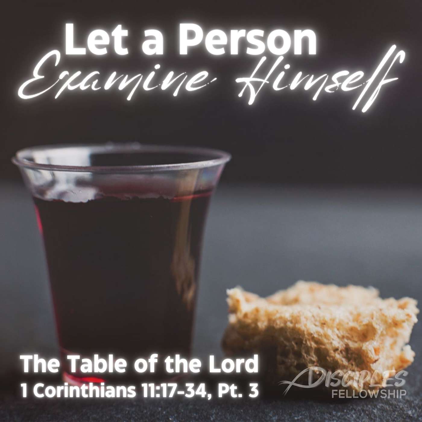The Lord's Supper: Let a Person Examine Himself, Part 3