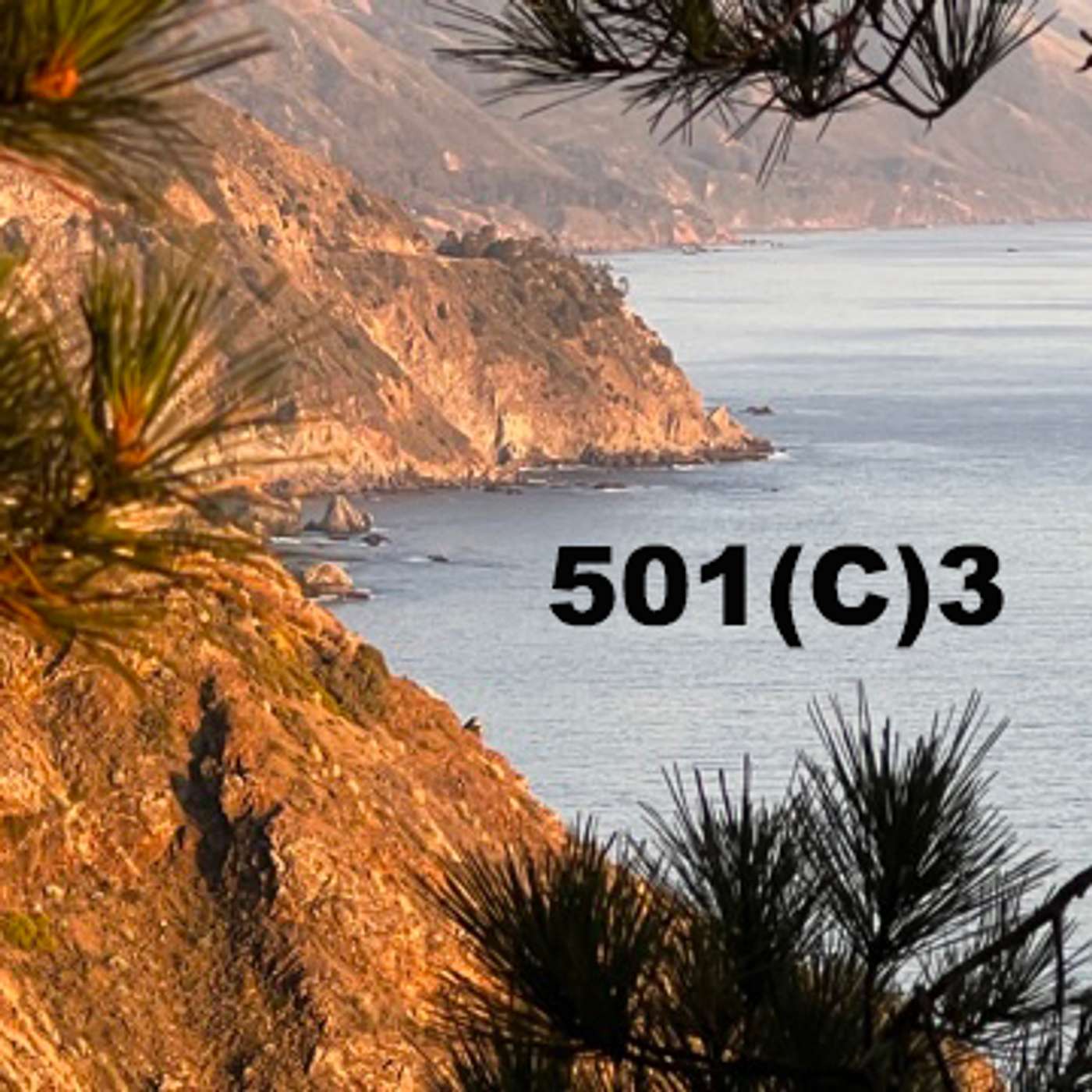 # 107 Wilderness, Health, Fire, Art, Music, Learning, Food and History : Big Sur Non Profits!